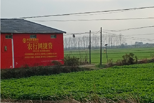 大姚如何防止墙体广告褪色呢？