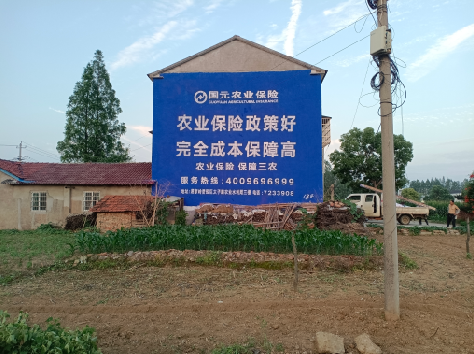 大姚墙体广告的优劣势你知道吗？